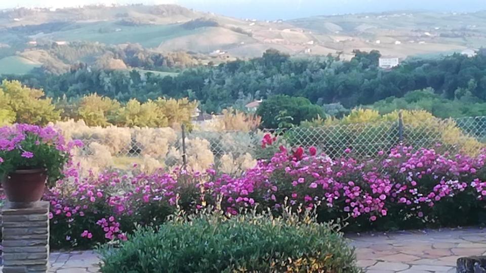 Anthos Casa Vacanze Sant'Omero Eksteriør bilde